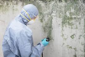 Best Mold Prevention Services  in Willmsburg, IA